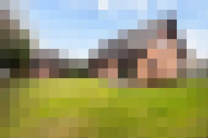 Oude Waag 5 Beesd thumbnail 23