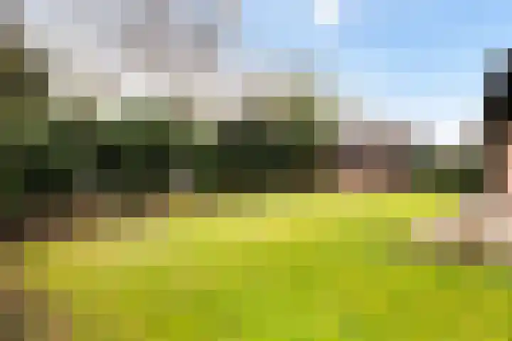 Oude Waag 5 Beesd thumbnail 25
