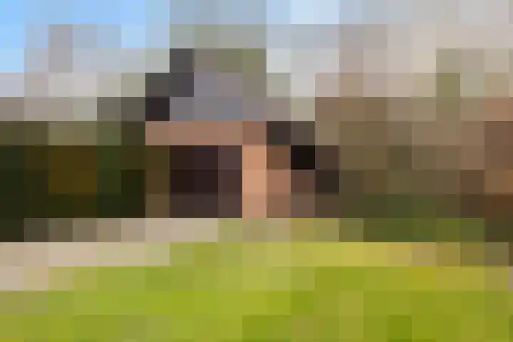 Oude Waag 5 Beesd thumbnail 26