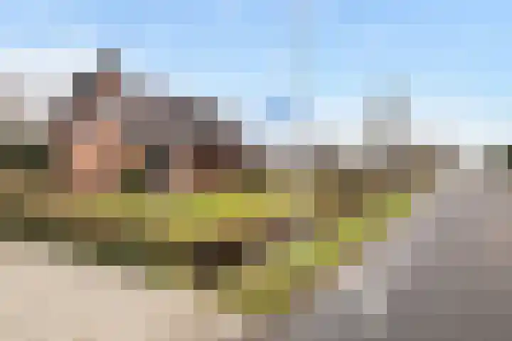 Oude Waag 5 Beesd thumbnail 42