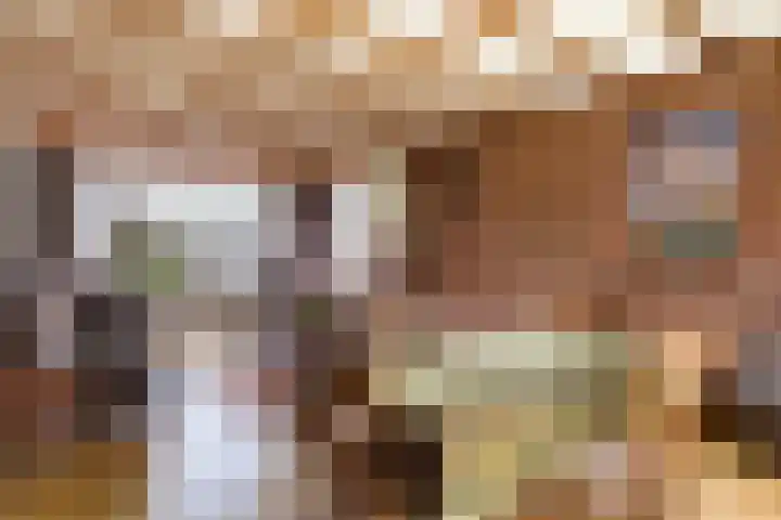 Oude Waag 5 Beesd thumbnail 8