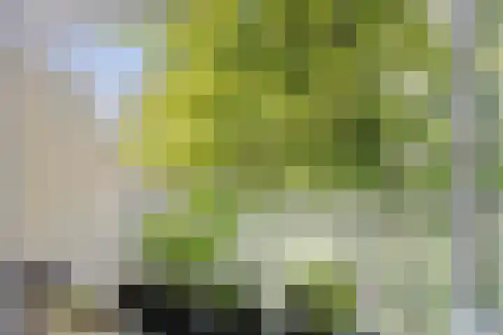 Oude Watering 197 Rotterdam thumbnail 22