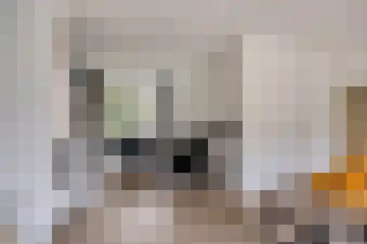 Oude Wed 23 Zutphen thumbnail 5
