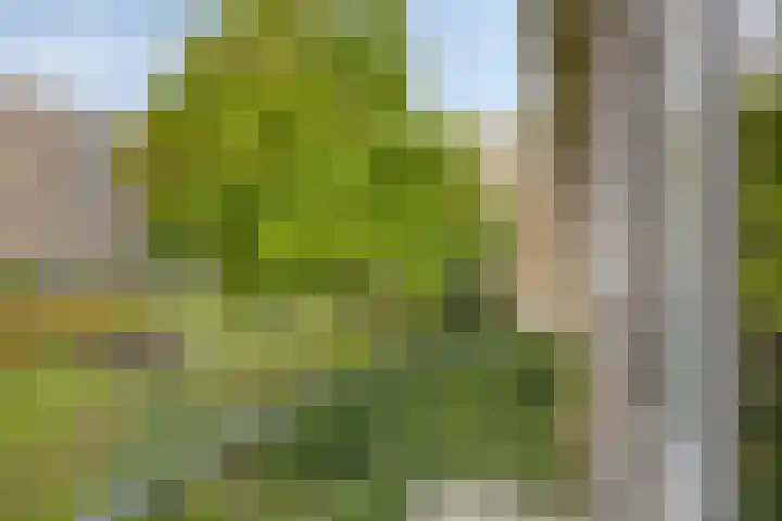 Oude Wed 23 Zutphen thumbnail 7