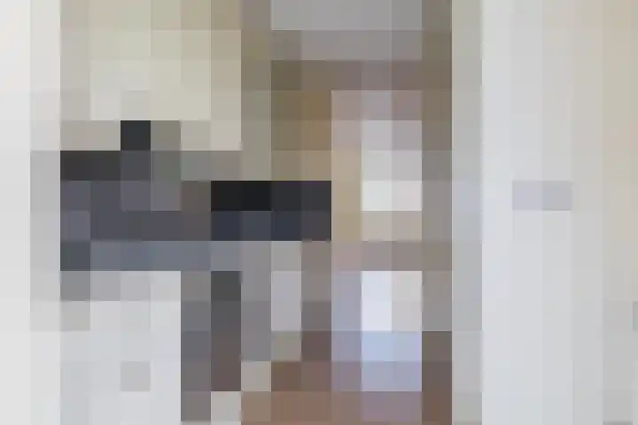 Oude Wei 11 Oss thumbnail 12