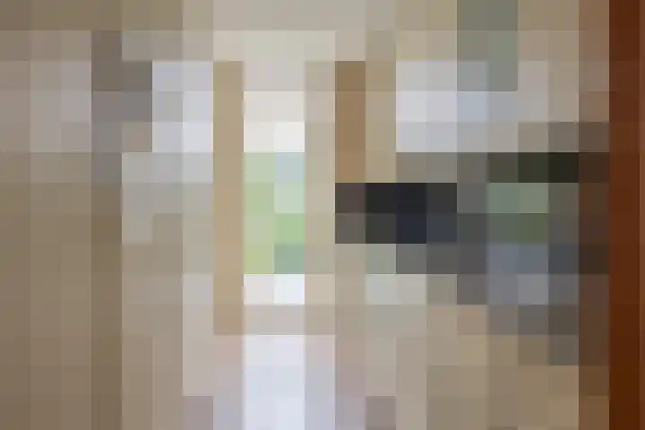 Oude Wei 11 Oss thumbnail 14