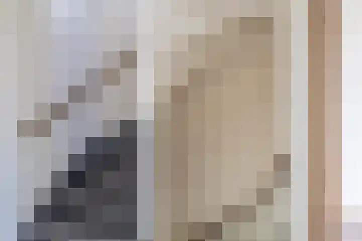 Oude Wei 11 Oss thumbnail 16