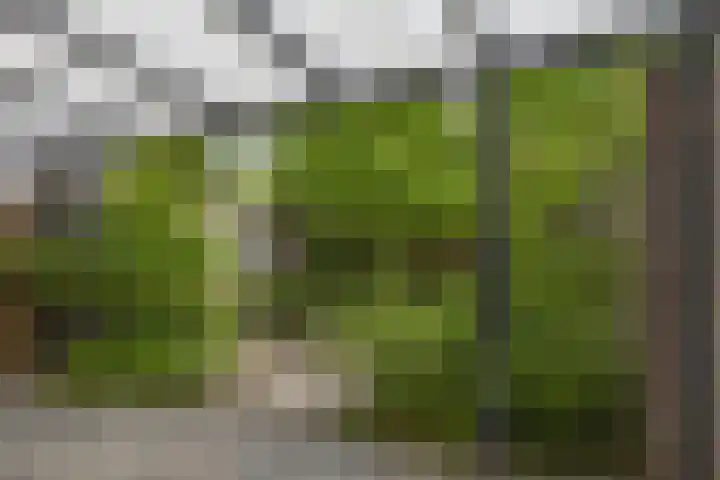 Oude Wei 11 Oss thumbnail 33