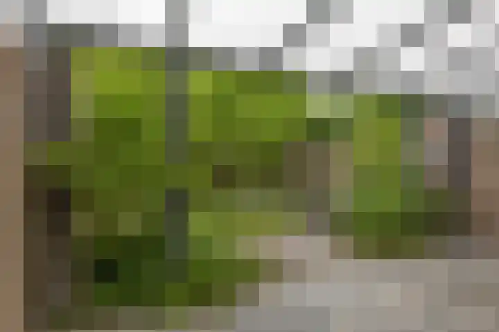 Oude Wei 11 Oss thumbnail 34