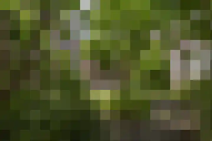 Oude Wei 11 Oss thumbnail 35