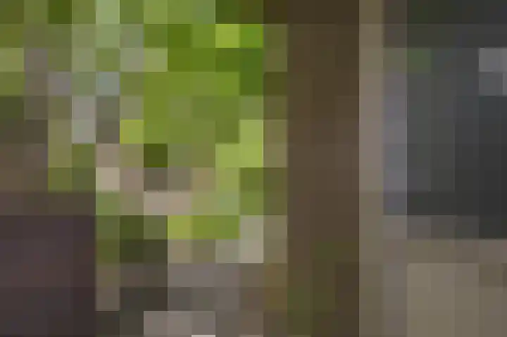 Oude Wei 11 Oss thumbnail 36