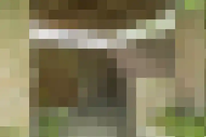 Oude Wei 11 Oss thumbnail 37