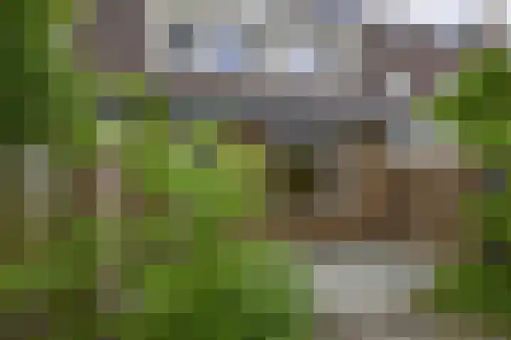 Oude Wei 11 Oss thumbnail 38