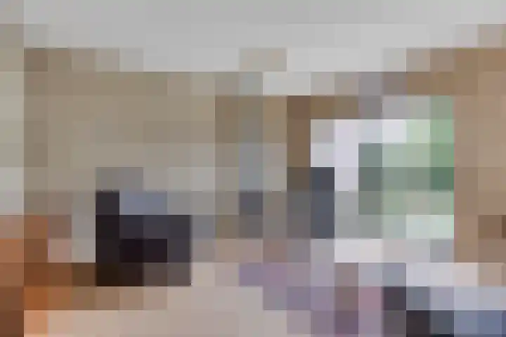 Oude Wei 40 Oss thumbnail 10