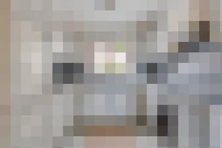 Oude Wei 40 Oss thumbnail 13