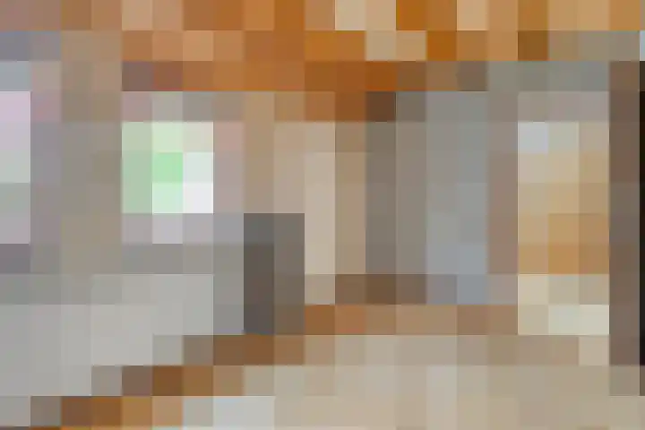 Oude Wei 40 Oss thumbnail 17