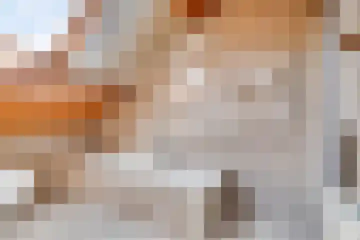 Oude Wei 40 Oss thumbnail 19