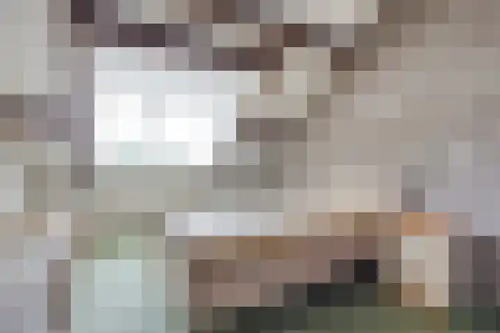 Oude Wei 40 Oss thumbnail 20