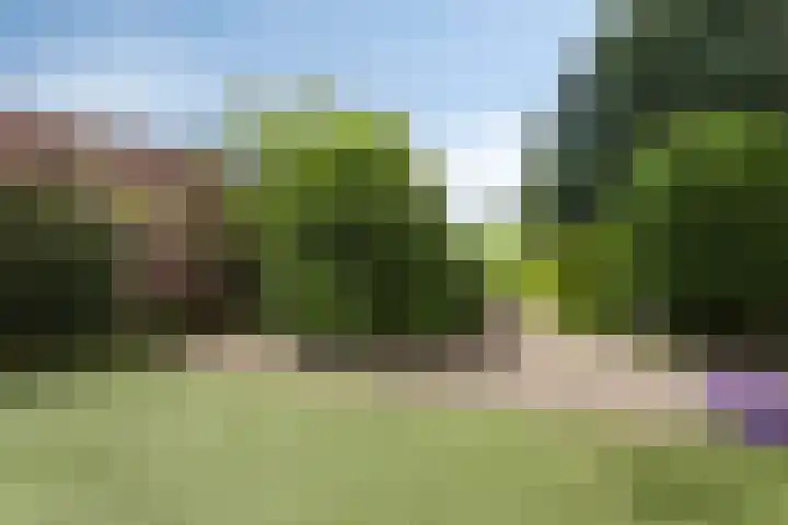 Oude Wei 40 Oss thumbnail 25