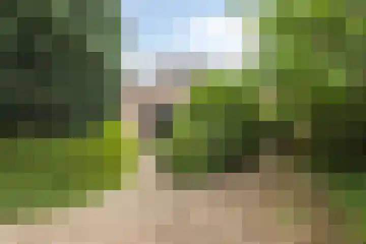Oude Wei 40 Oss thumbnail 26