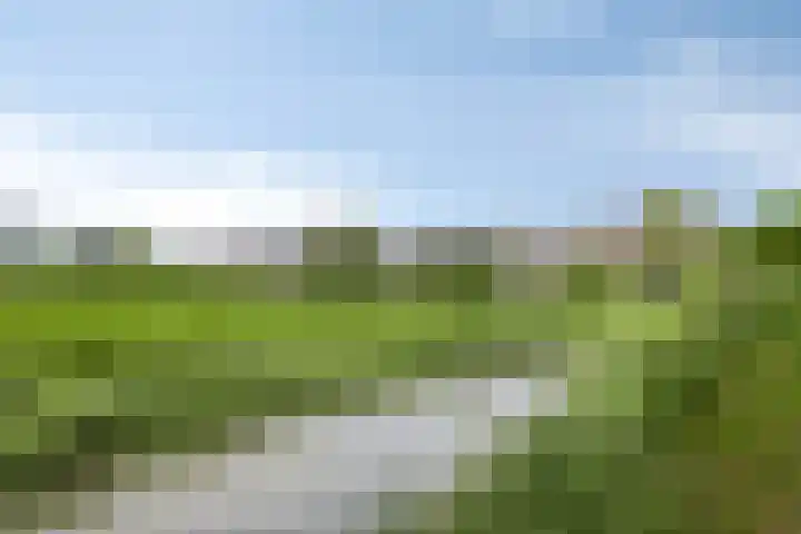 Oude Wei 40 Oss thumbnail 27
