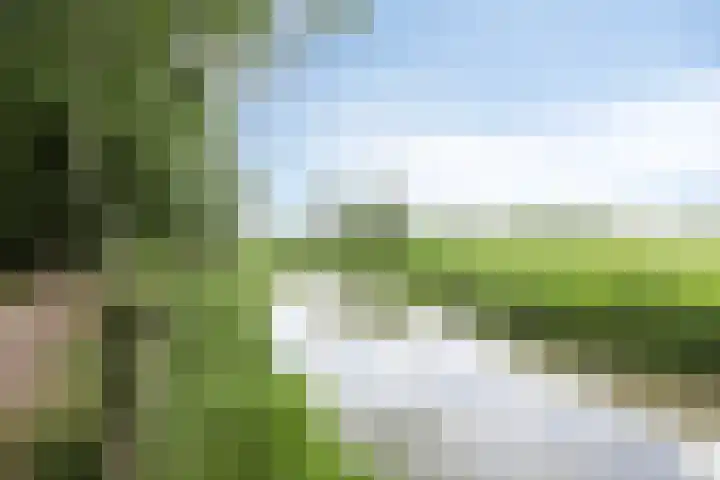 Oude Wei 40 Oss thumbnail 28