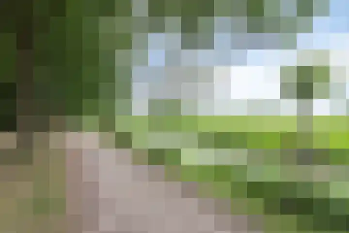 Oude Wei 40 Oss thumbnail 29