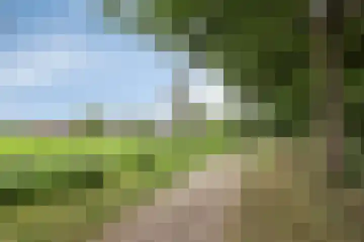 Oude Wei 40 Oss thumbnail 30