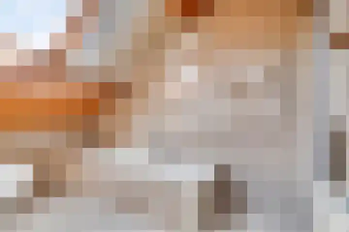 Oude Wei 40 Oss thumbnail 4
