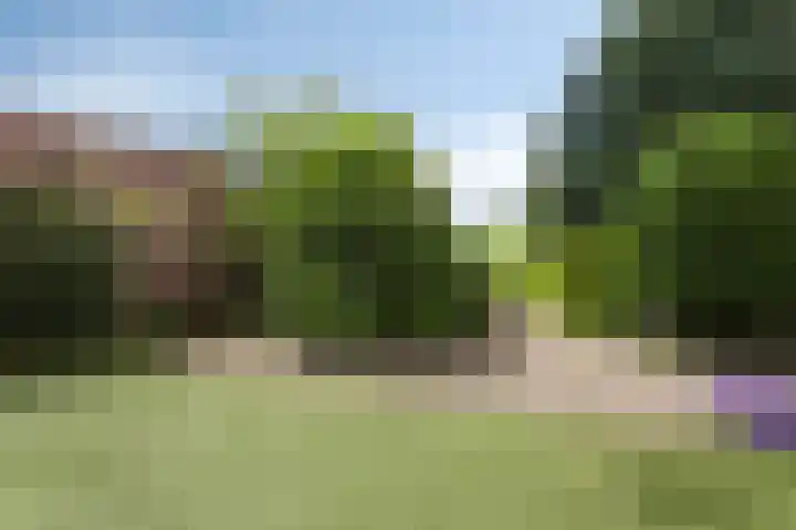 Oude Wei 40 Oss thumbnail 5