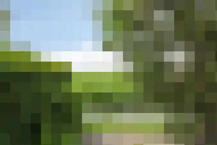 Oude Wei 40 Oss thumbnail 6