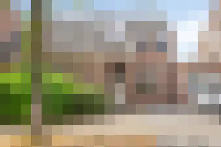 Oude Wei 40 Oss thumbnail 7