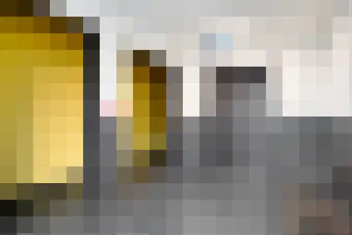 Oude Werf 8 Cuijk thumbnail 11