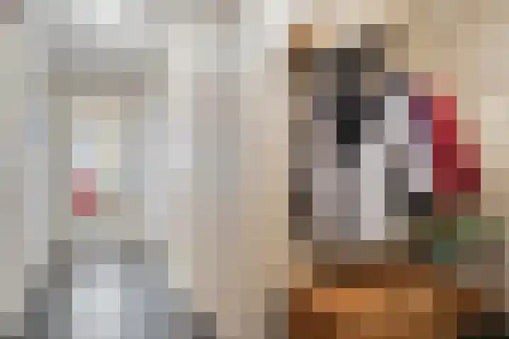 Oude Werf 8 Cuijk thumbnail 12