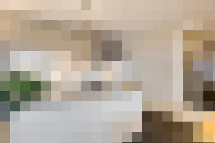 Oude Werf 8 Cuijk thumbnail 18