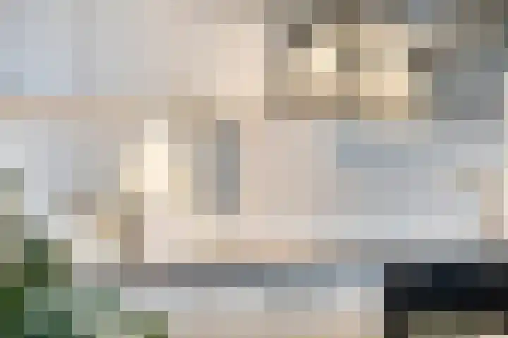 Oude Werf 8 Cuijk thumbnail 21