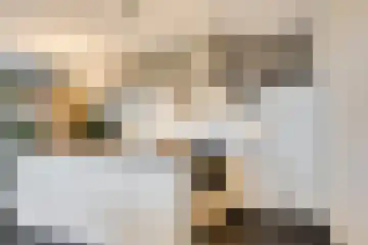 Oude Werf 8 Cuijk foto 3