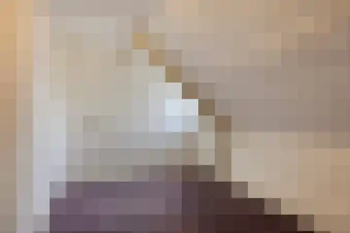 Oude Wisselseweg 60 Epe thumbnail 16