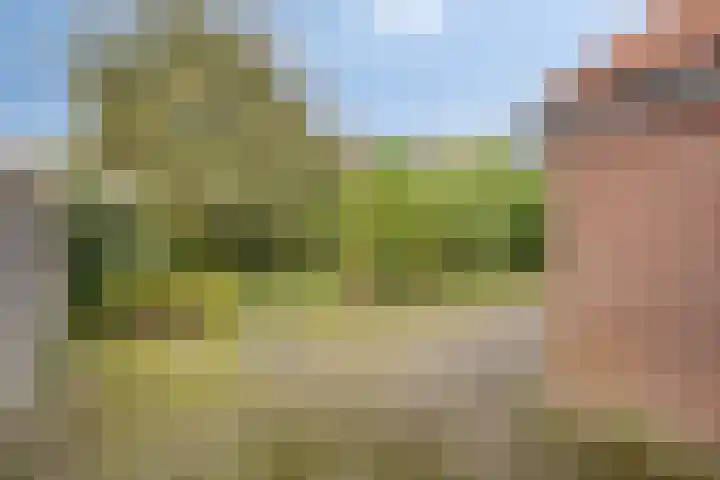 Oude Wisselseweg 60 Epe thumbnail 19