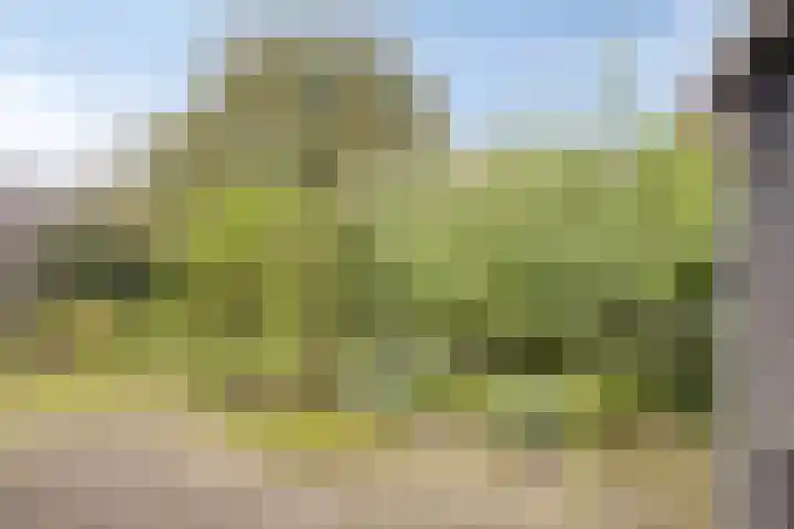 Oude Wisselseweg 60 Epe thumbnail 20