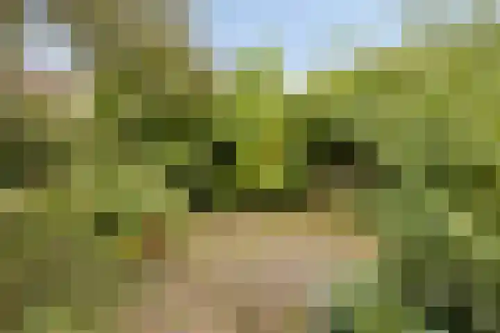 Oude Wisselseweg 60 Epe thumbnail 22