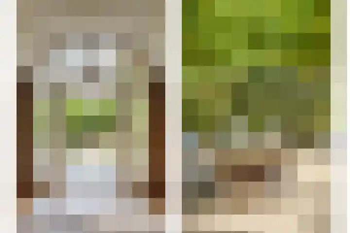 Oude Zeedijk 1 b Dussen thumbnail 12