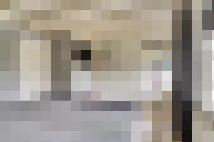 Oude Zeedijk 1 b Dussen thumbnail 26