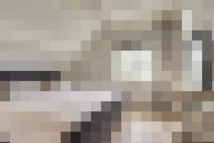 Oude Zeedijk 1 b Dussen thumbnail 27