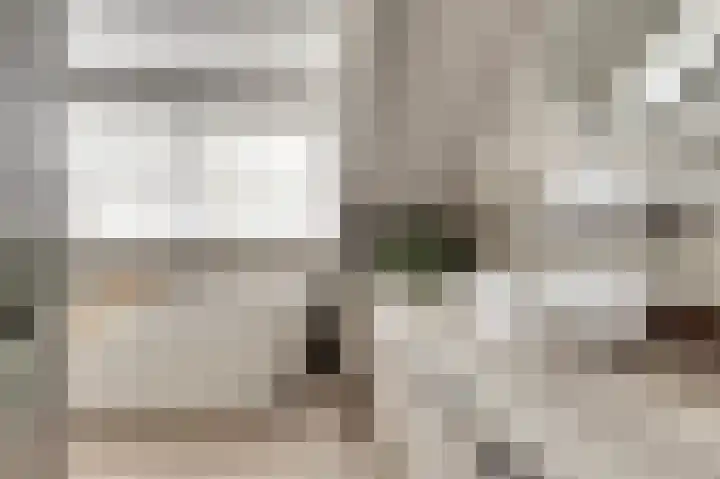 Oude Zeedijk 1 b Dussen thumbnail 28