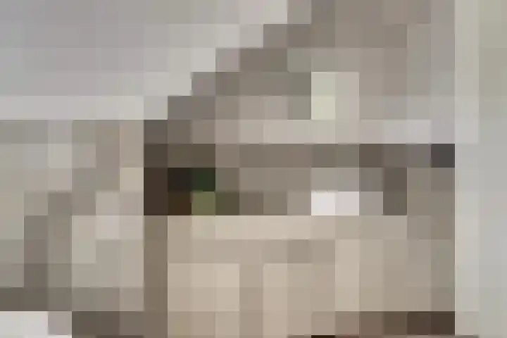 Oude Zeedijk 1 b Dussen thumbnail 29