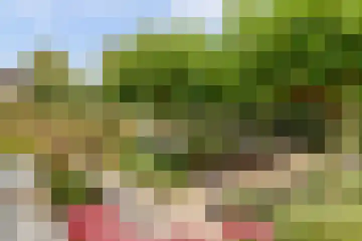 Oude Zeedijk 1 b Dussen thumbnail 35