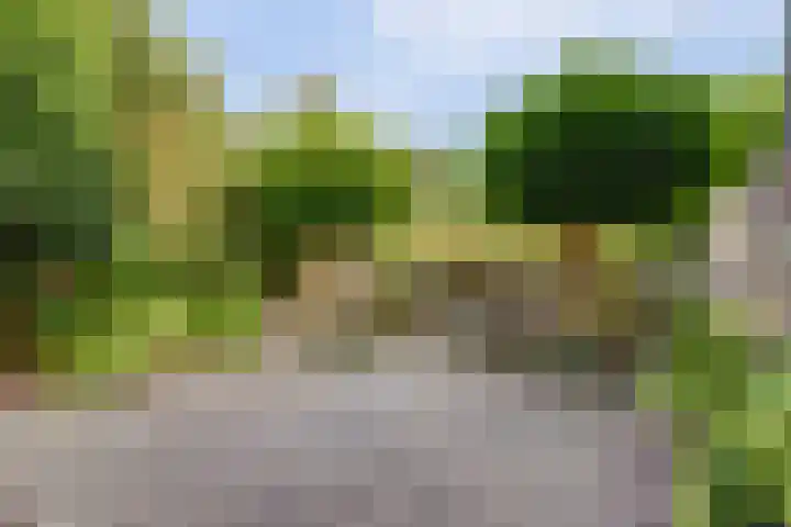 Oude Zeedijk 1 b Dussen thumbnail 36