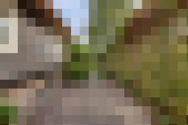 Oude Zeedijk 1 b Dussen thumbnail 38