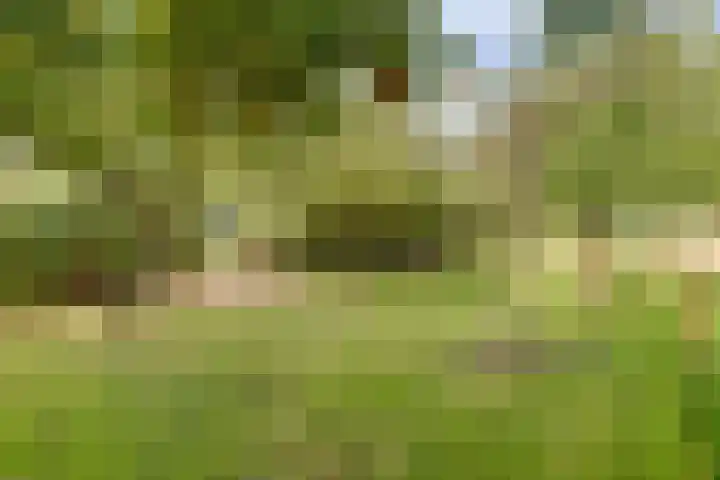 Oude Zeedijk 1 b Dussen thumbnail 42